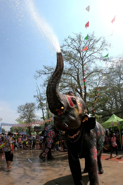 Ayutthaya Thailand April14 2019 Махоут Своїм Слоном Грайливо Бризкають Воду — стокове фото