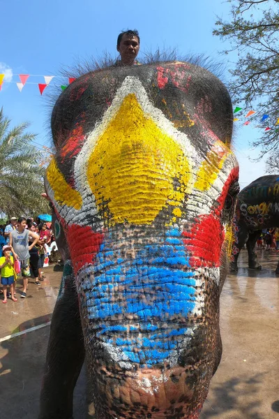 Ayutthaya Tayland Nisan 2019 Suda Oynayan Genç Fillerin Başlarındaki Renkler — Stok fotoğraf