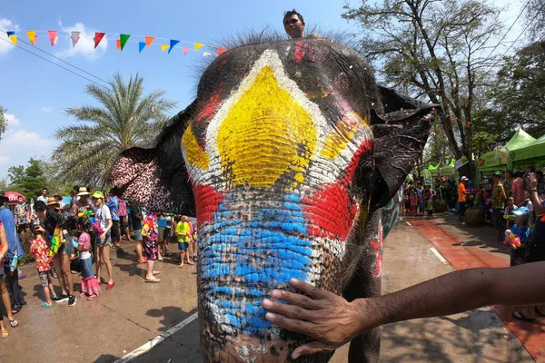 Ayutthaya Thailandia Aprile 2019 Colori Sulla Testa Dei Giovani Elefanti — Foto Stock