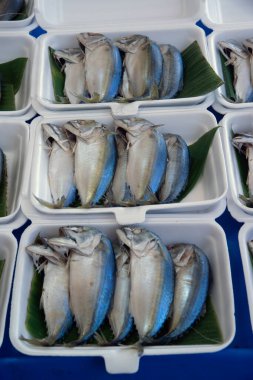 Tayland 'da taze bir markette satılan köpük kutusunda taze uskumru..