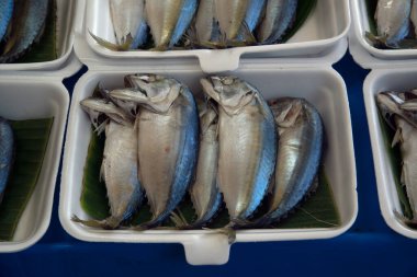 Tayland 'da taze bir markette satılan köpük kutusunda taze uskumru..