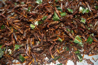 Çekirge, Tayland 'da sokak yemeği için tepside tuzla kızartılmış..