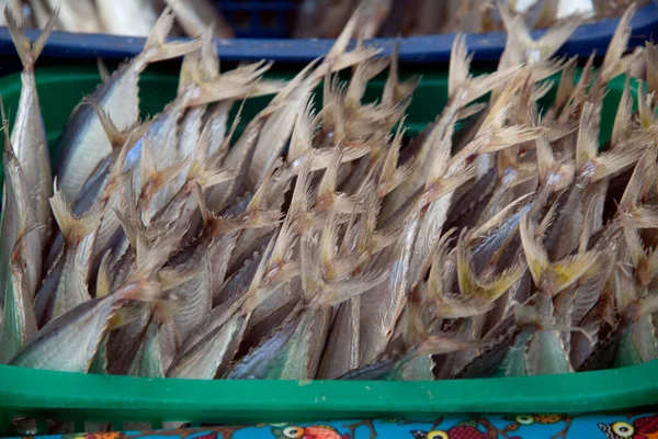 Puesto Pescado Salado Seco Tailandia —  Fotos de Stock