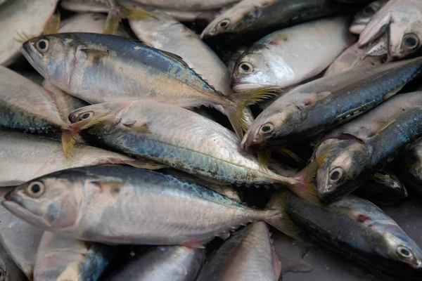 Caballa Fresca Vendida Mercado Fresco Tailandia — Foto de Stock