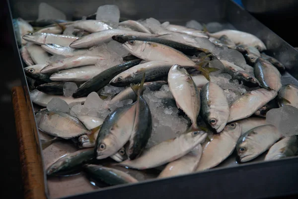 Fresh mackerel sold at a fresh market in Thailand.