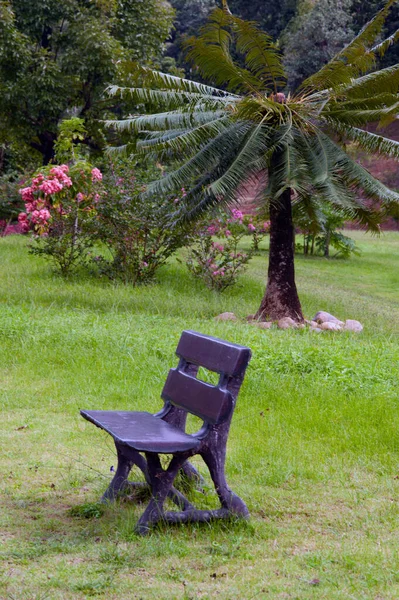 Banco Acogedor Hormigón Viejo Solitario Una Zona Parque Público — Foto de Stock