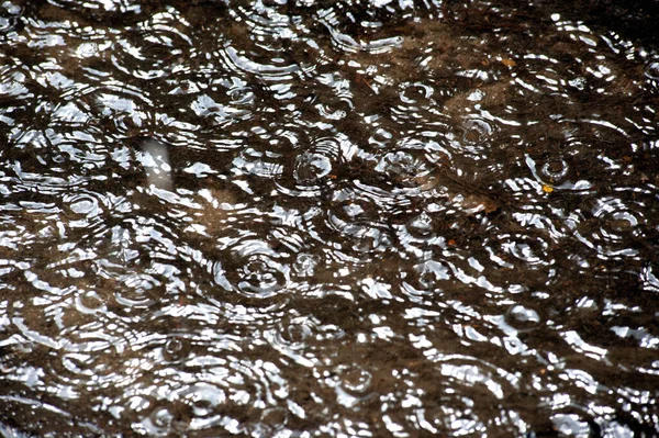 水面に雨水が落ち 光の反射で水たまりに落ちる雨滴 抽象的な性質の背景 — ストック写真