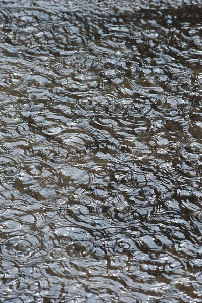 Regenwaterdruppels Het Wateroppervlak Regendruppels Plassen Met Lichtreflecties Abstracte Natuurachtergrond — Stockfoto