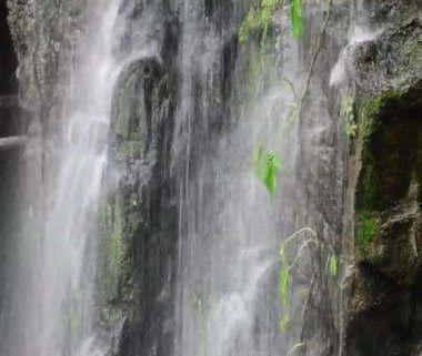 Soğuk şelale uçurumdan aşağı akar. Tayland 'ın derin ormanlarında akan berrak mavi su tabakalarıyla.