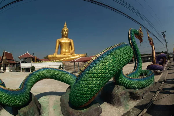 태국논 방석에는 커다란 석양이 곳에서도 수있습니다 왜냐하면 이곳은 차오프라야 곳이기 — 스톡 사진