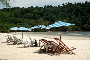 Tayland 'da bir adada plajda bulunan plaj sandalyeleri ve şemsiyeler..