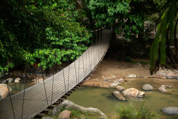 Drewniany Most Wiszący Przez Potok Zarośnięte Drzewo Parku Tajlandii — Zdjęcie stockowe