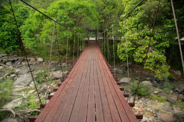 Puente Colgante Madera Sobre Arroyo Árbol Cubierto Parque Tailandia — Foto de Stock