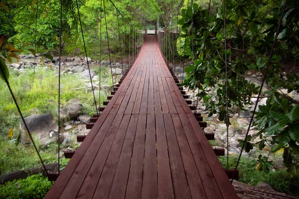 Puente Colgante Madera Sobre Arroyo Árbol Cubierto Parque Tailandia — Foto de Stock