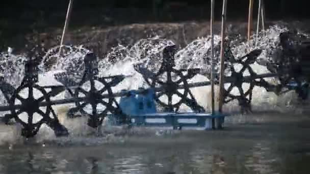 Eine Wasserturbine Die Verwendet Wird Das Wasser Aquakulturteich Mit Einem — Stockvideo