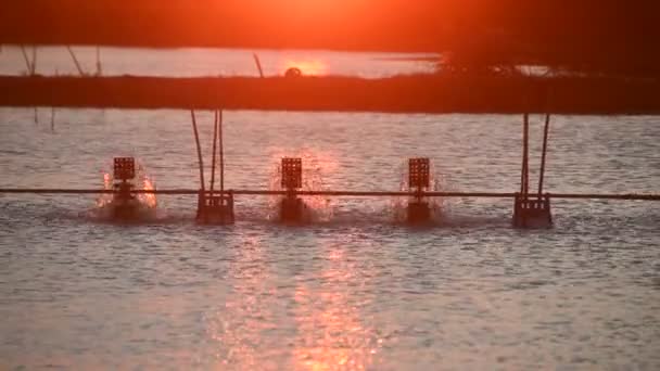 在鱼塘中安装的增加水中氧气的汽轮机的日落 — 图库视频影像