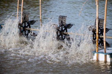 Bir su türbini, suya oksijen eklemek için hava kabarcıkları oluşturmak için su birikintisindeki suyu ileri bir pervaneyle döndürmek için kullanılır..