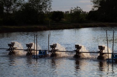 Bir su türbini, suya oksijen eklemek için hava kabarcıkları oluşturmak için su birikintisindeki suyu ileri bir pervaneyle döndürmek için kullanılır..