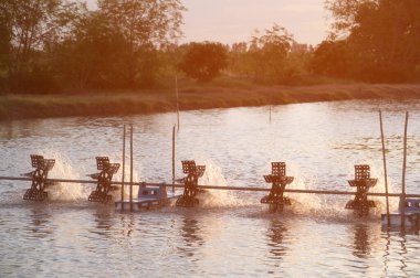 Su türbininin üzerindeki gün batımı suya oksijen eklemek için ön pervaneli su havzasını döndürmek için kullanılır..