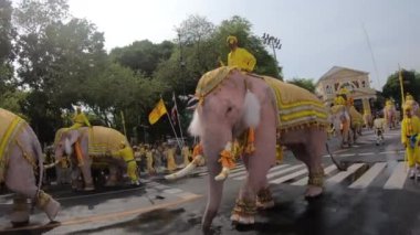 BANGKOK, THAILAND - 5 HAZİRAN 2019: Beyaz gibi görünen 11 fil, yas tutanlara atfedilir. Majesteleri merhum kral Bhumibol Adulyadej Bangkok, Tayland 'daki Kraliyet Sarayı' nın önünde..