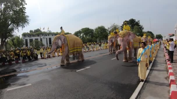 Bangkok Thailand Juli 2019 Elf Elefanten Die Wie Weiße Untergebene — Stockvideo