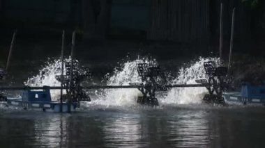 Bir su türbini, suya oksijen eklemek için hava kabarcıkları oluşturmak için su birikintisindeki suyu ileri bir pervaneyle döndürmek için kullanılır..