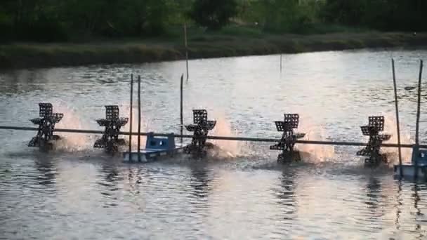 Una Turbina Agua Utilizada Para Rotar Agua Estanque Acuicultura Con — Vídeo de stock