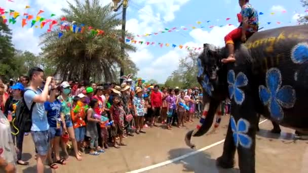 태국의 아유타야 2019 코끼리가 관광객들 재미있게 아유타야 아유타야 공원에서 코끼리들 — 비디오
