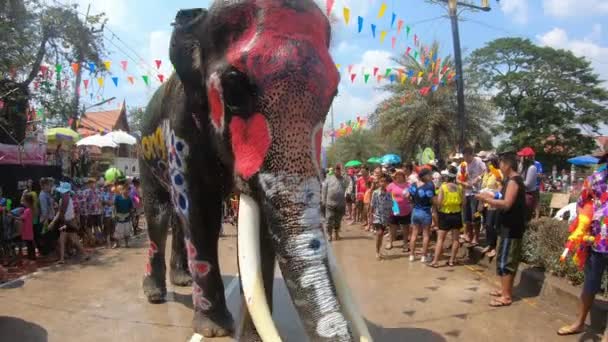 Ayutthaya Ταϊλάνδη Απριλίου 2019 Ένα Mahout Και Ελέφαντες Του Παίζουν — Αρχείο Βίντεο