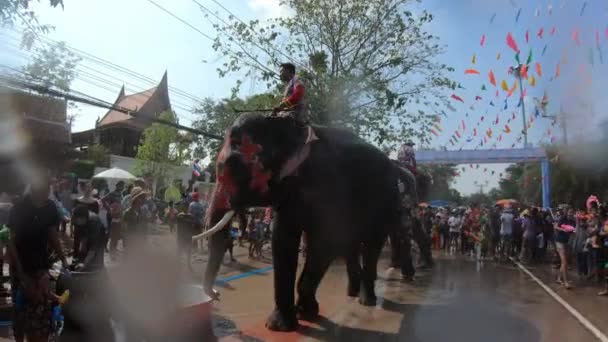 Ayutthaya Thailand 2019年4月14日 Mahout和他的大象玩世不恭地泼水 在泰国Ayutthaya市Ayutthaya历史公园举行的Songkran节 年轻的大象开心快乐 — 图库视频影像