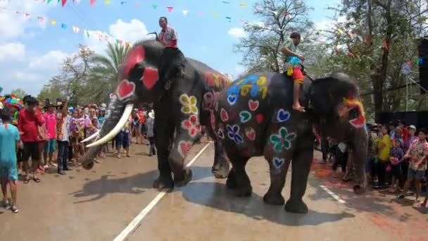 Ayutthaya Tailandia Abril 2019 Mahout Sus Elefantes Juegan Bailan Con — Vídeos de Stock