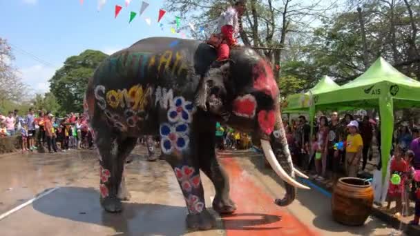 Ayutthaya Thailand 2019年4月14日 Mahout和他的大象玩世不恭地泼水 在泰国Ayutthaya市Ayutthaya历史公园举行的Songkran节 年轻的大象开心快乐 — 图库视频影像