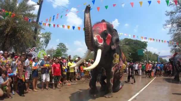 Ayutthaya Thajsko Dubna 2019 Mahout Jeho Sloni Zábavným Způsobem Hrají — Stock video