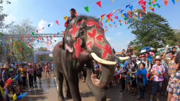 Ayutthaya Tailândia Abril 2019 Viajante Não Identificado Agarra Tronco Elefante — Vídeo de Stock