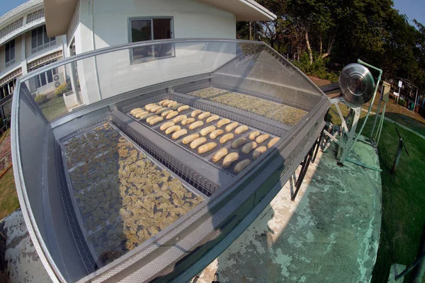 Fruit Incubator Heat Generated Solar Energy — Stock Photo, Image