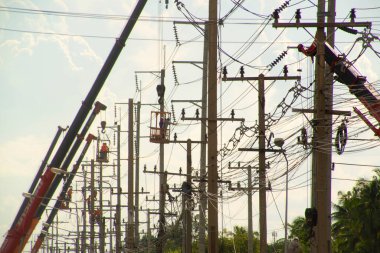 BANGKOK, THAILAND - 22 Ağustos 2021: Kamyonu olan tanımlanamayan bir grup elektrikçi elektrik direklerindeki iletim sisteminin bakımını sürdürüyor.