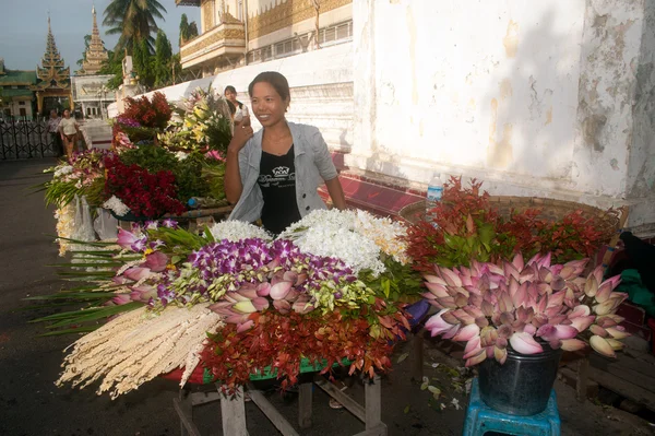 Myanmar vendedor de flores . — Fotografia de Stock