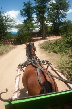 Arabanın içinde Inwa antik kent, Myanmar.