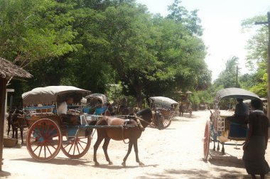 Arabanın içinde Inwa antik kent, Myanmar.