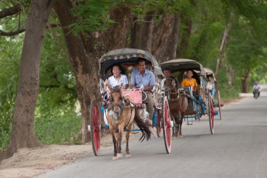 Arabanın içinde Inwa antik kent, Myanmar.