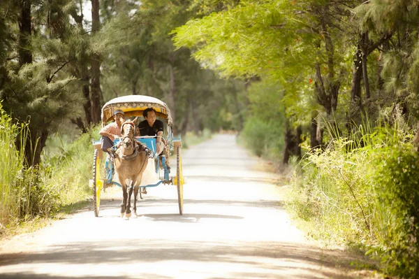 Vervoer in Inwa oude stad Myanmar. — Stockfoto