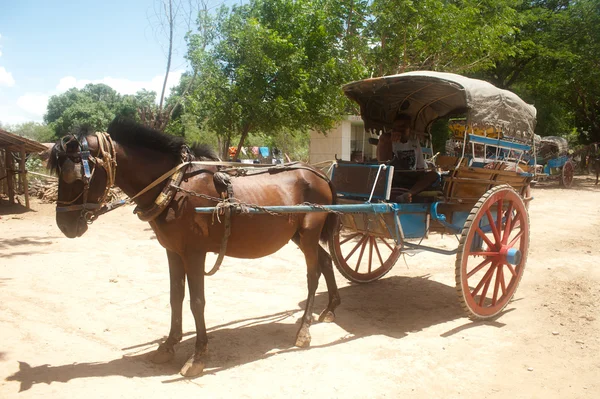Transport dans la ville antique d'Inwa, Myanmar . — Photo