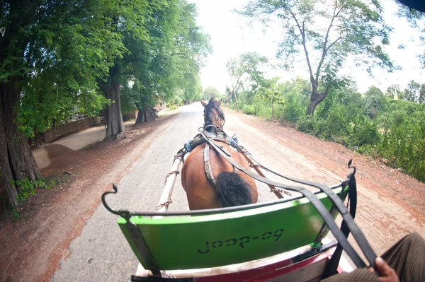 Carriage in Inwa ancient city ,Myanmar. — Stock Photo, Image