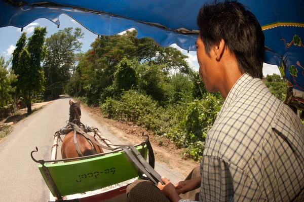 Transporte en la antigua ciudad de Inwa, Myanmar . —  Fotos de Stock