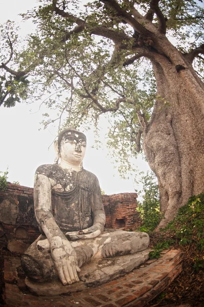 Древний Будда в комплексе пагоды Ядана Хсеми . — стоковое фото