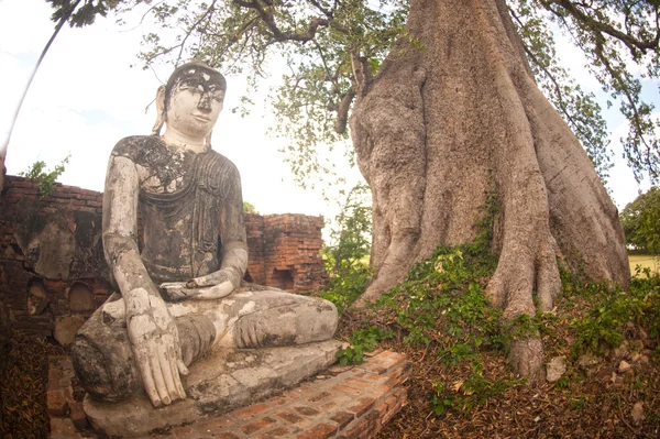 Uralter Buddha im Yadana Hsemee Pagodenkomplex. — Stockfoto