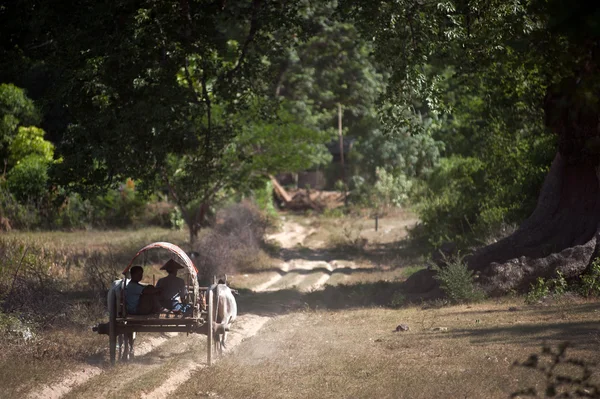 Ox cart to the village near Mingun Pagoda,Myanmar. — Stock Photo, Image