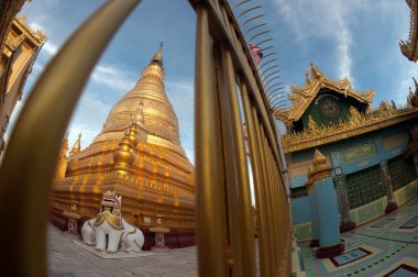 Yakında U Pone Nya Shin Pagoda, Myanmar.