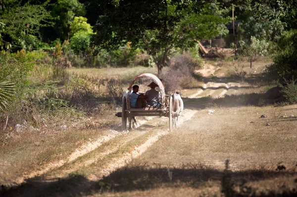 Buey carro a la aldea cerca de Mingun Pagoda, Myanmar . —  Fotos de Stock