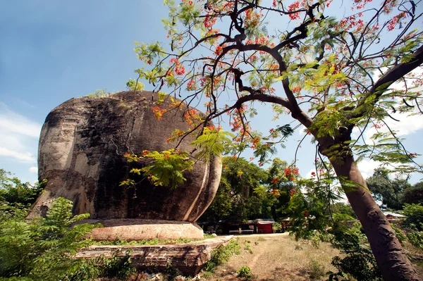 Lår av en massiv guardian lion (chinthe) framför Mingun Paya Pagoda, Myanmar. — Stockfoto